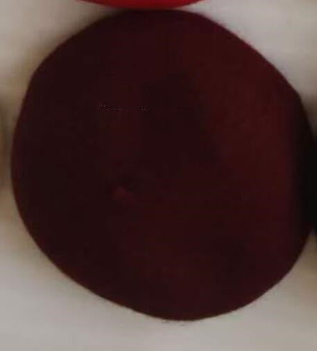 Sylvie – Béret Laine Style Rétro Britannique