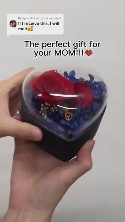 1.mp4