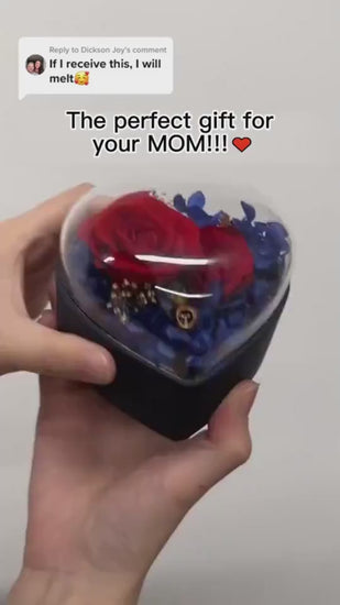 1.mp4